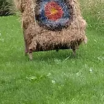 Country House Roman *