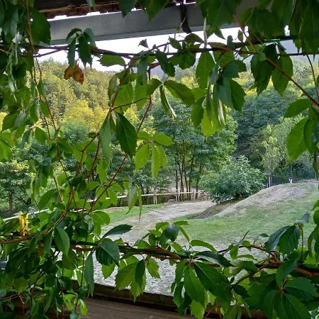 בית כפרי Country House Roman *