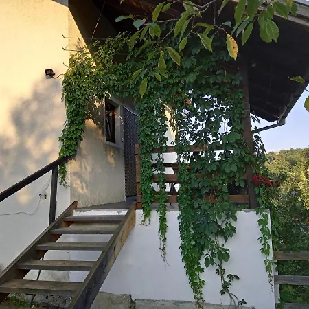 Country House Roman *