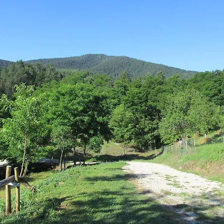 בית כפרי Country House Roman *